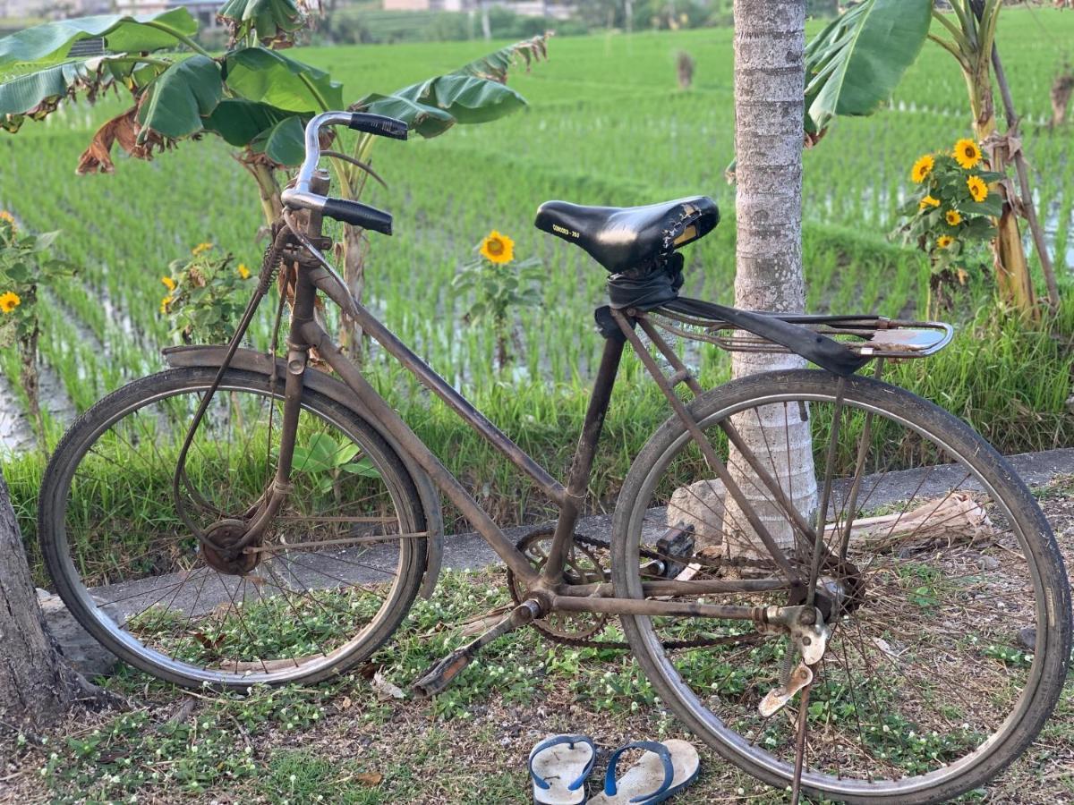 Villa Padi Canggu  Luaran gambar
