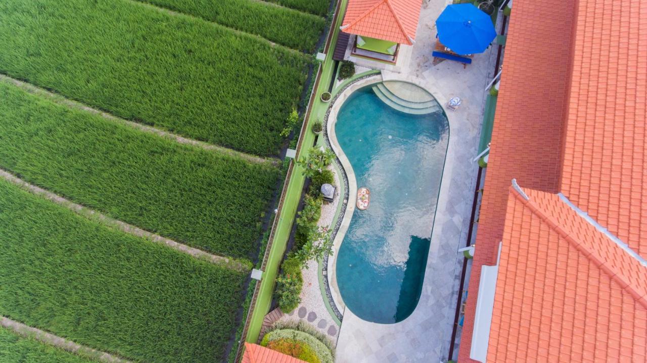Villa Padi Canggu  Luaran gambar