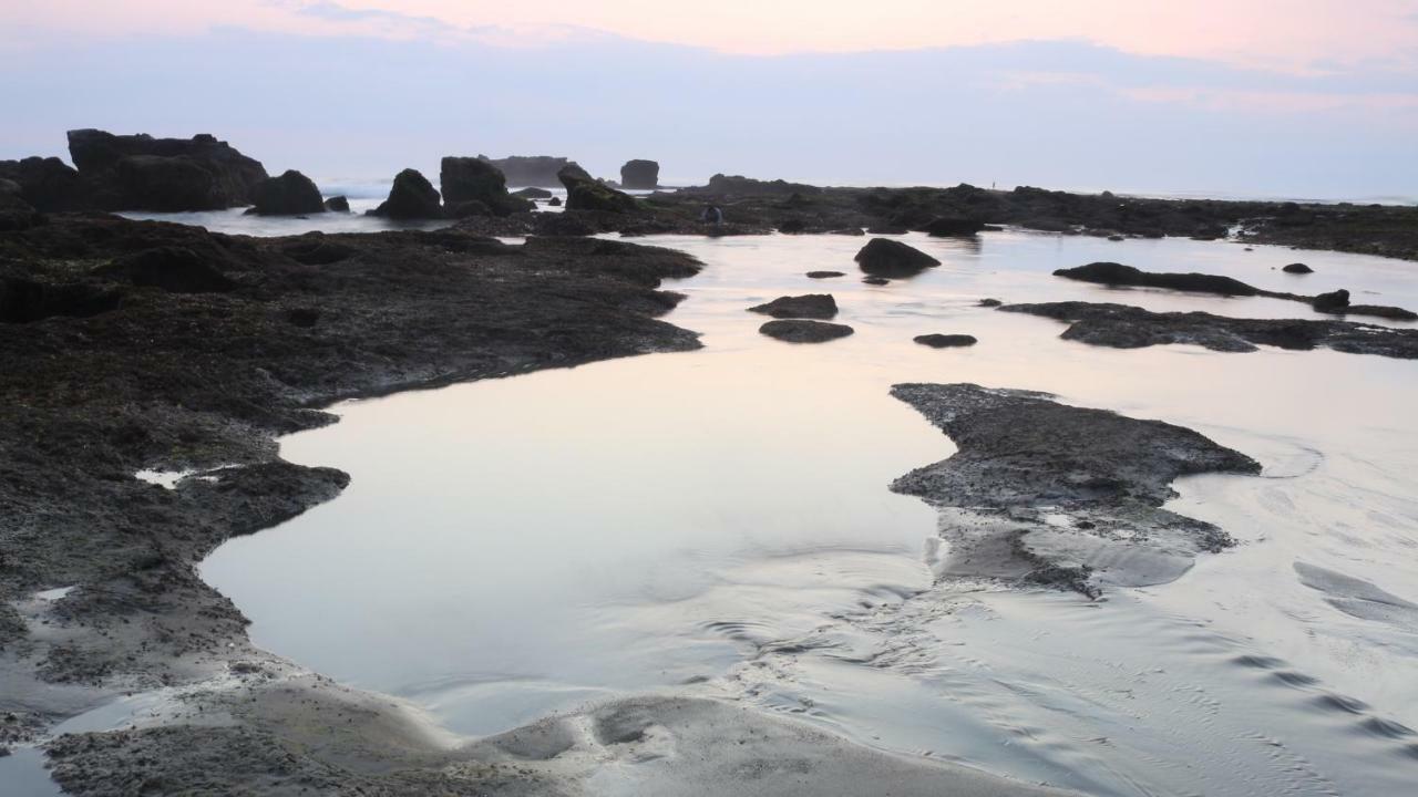 Villa Padi Canggu  Luaran gambar