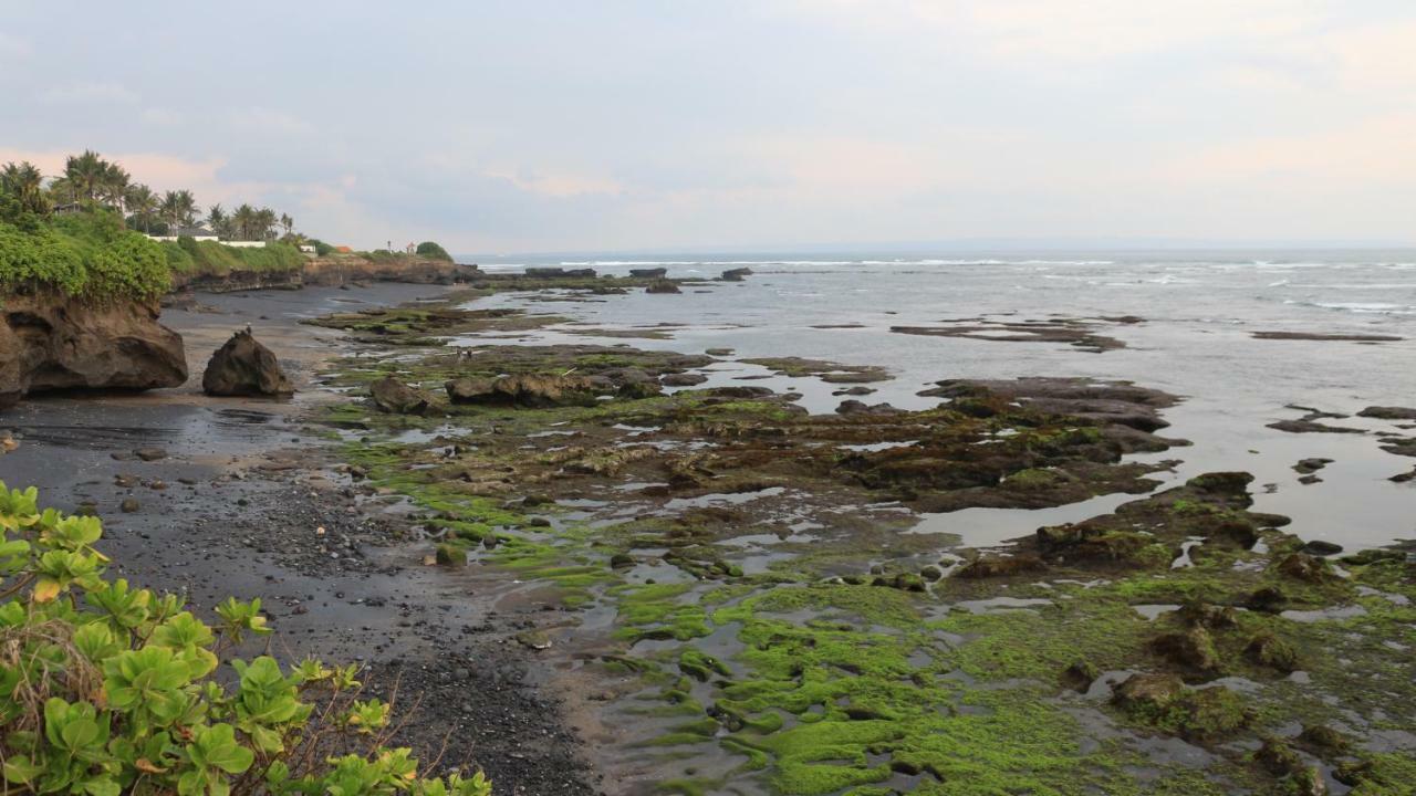 Villa Padi Canggu  Luaran gambar