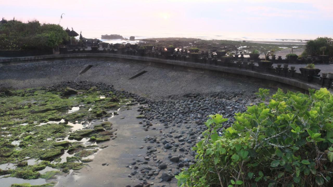 Villa Padi Canggu  Luaran gambar